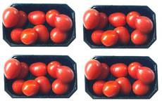 Tomaten-4x9.jpg